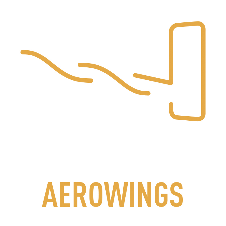 Aerowings